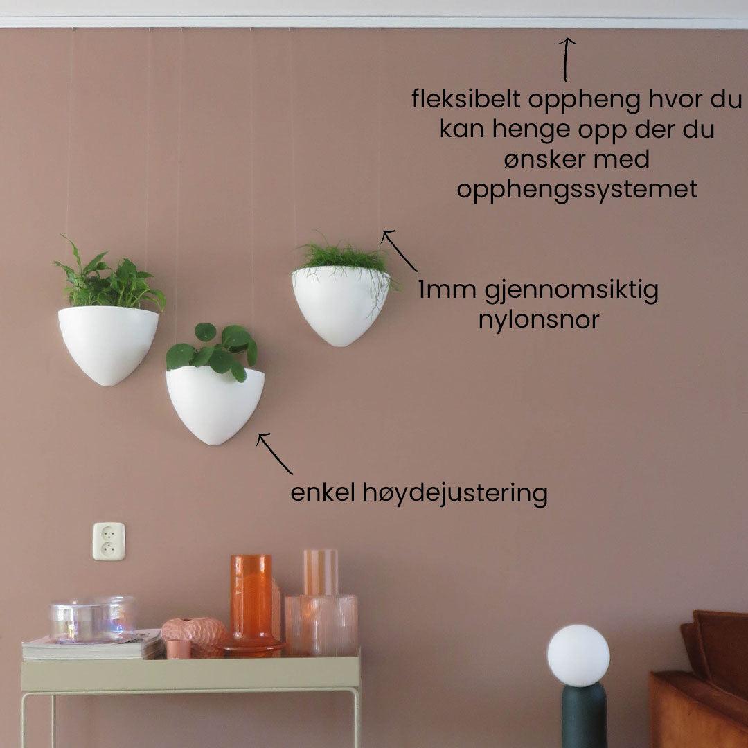 Artiteq Botaniq Blomsterpotte for opphengssystemer komplettset - Bildeopphengssystem