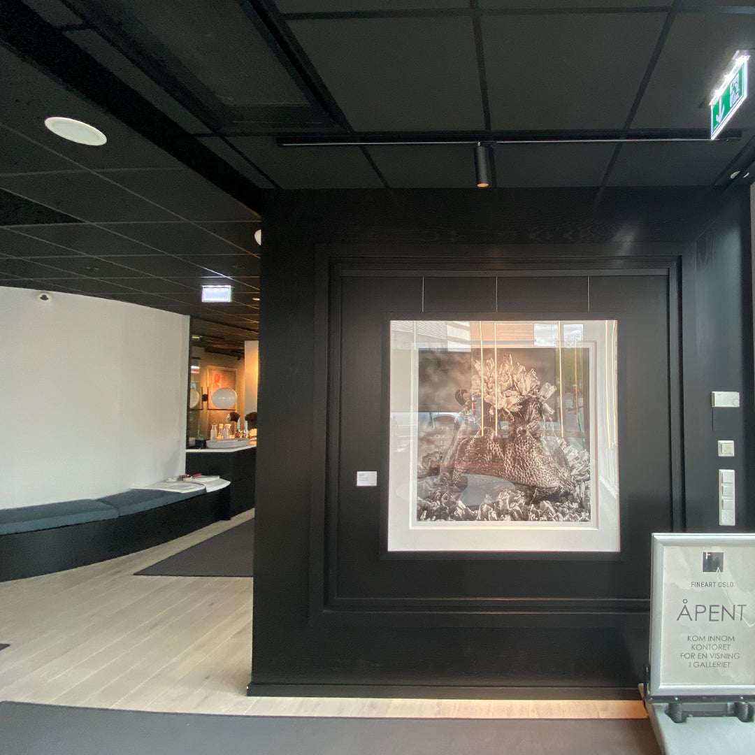 Artiteq Click Rail Pro 2 mtr kombisett