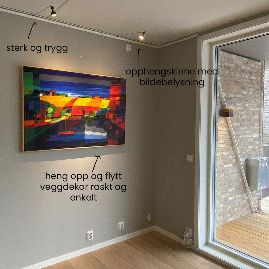 Combi Rail Pro Light by Artiteq - Opphengssystem kombinert med belysning - Bildeopphengssystem