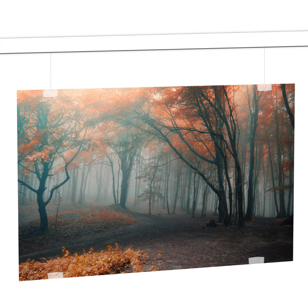 Newly Panel Display sett